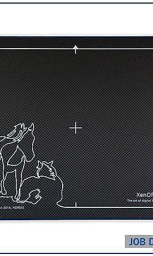 Sistema DR wireless	 Sistema DR wireless