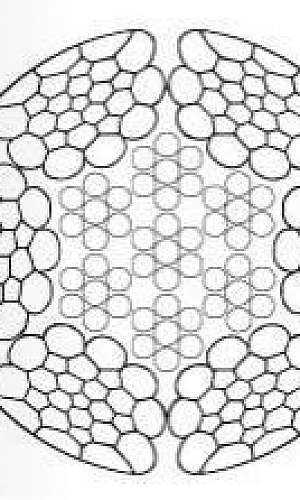 Wire ropes Wire ropes